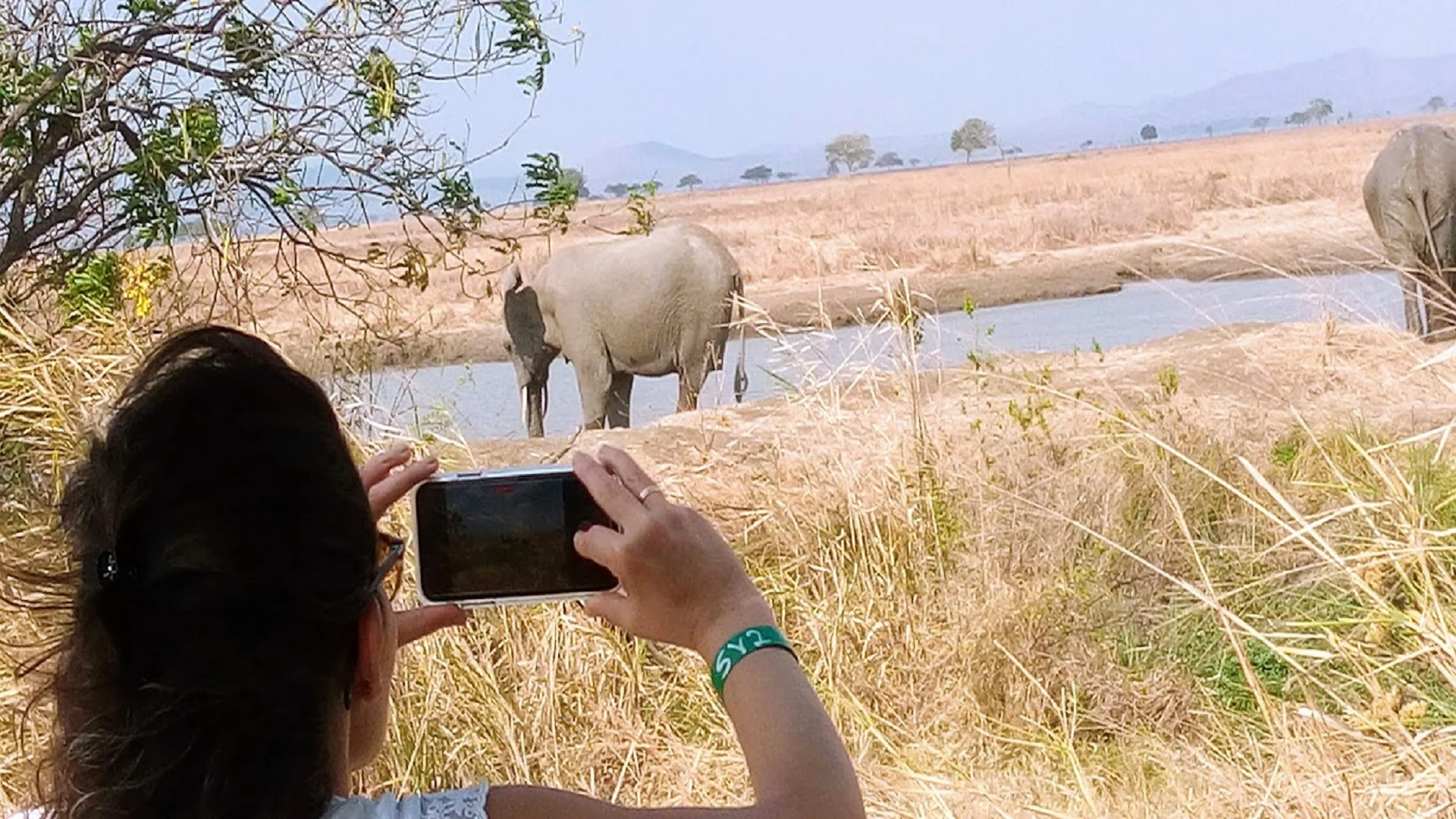Wildlife Safari in Mikumi National Park Tanzania - Fantastic Safaris